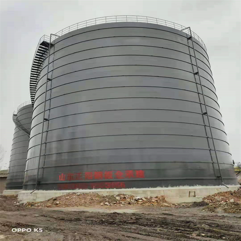 东阿3万吨大型钢板库