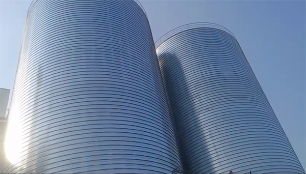 东阿2座混凝土高架卷板仓